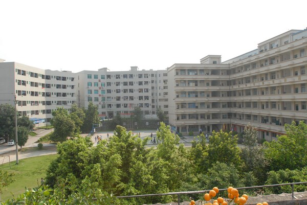 ���У��ѧУ����