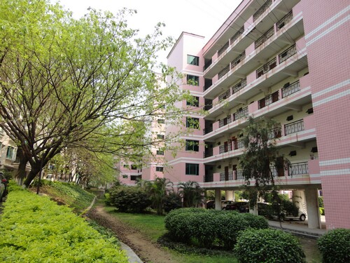 ���У��ѧ����Ԣ