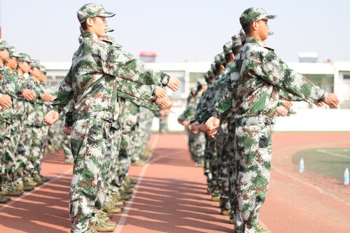 ������ѵ