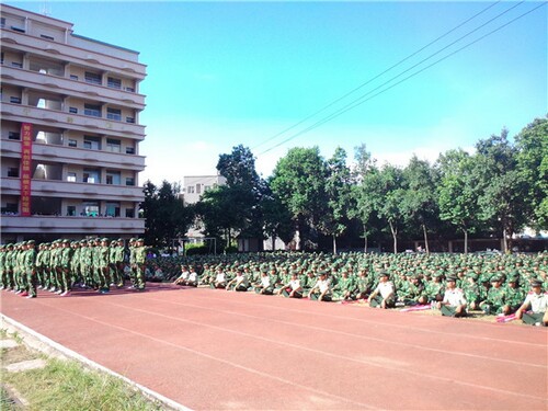 ������ѵ