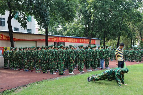 ������ѵ